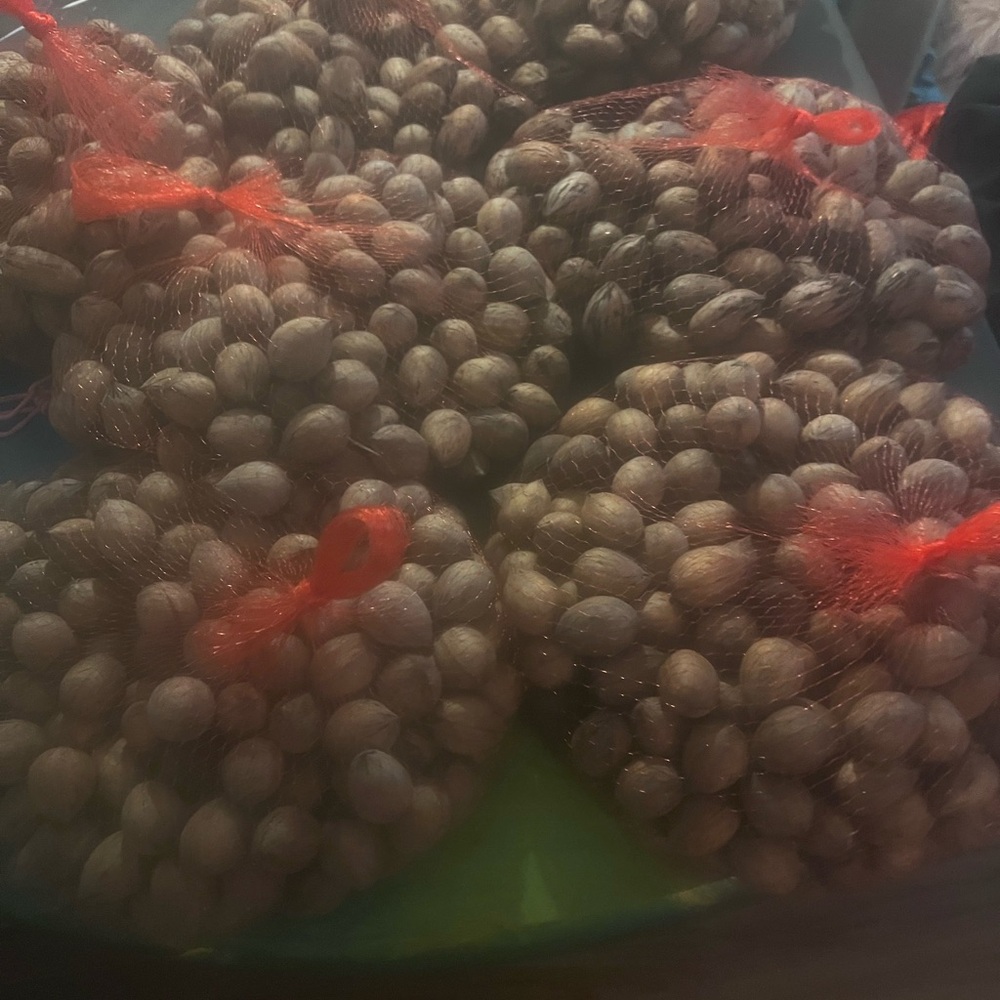 Fresh South Georgia Pecans in Red Netting